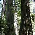 2007 07 03 088